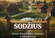 Traditional Lithuanian Sodziu village landscape with wooden homesteads, open fields, and natural countryside scenery.