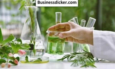 Lyposingrass: A Complete Guide to Its Meaning, Uses, and Growing Interest