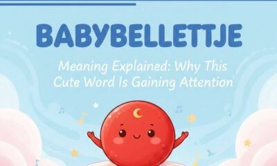 Babybelletje Meaning Explained: Why This Cute Word Is Gaining Attention